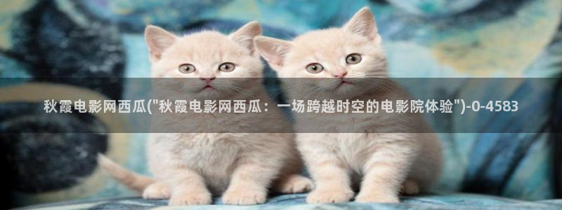 西瓜影院在线伦理