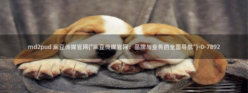 麻豆传媒官网bt：md2pud 麻豆传媒官网(\