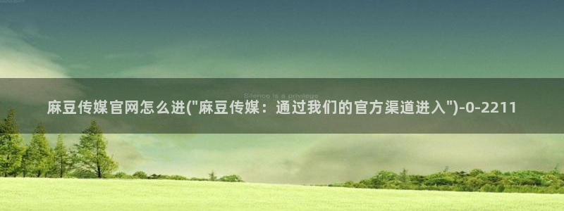 麻豆影映传媒官网：麻豆传媒官网怎么进(\