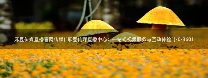 台湾91麻豆传媒官网：麻豆传媒直播官网传媒(\