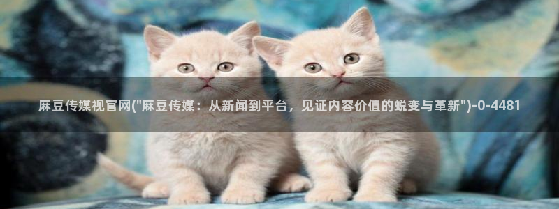 武汉麻豆传媒官网：麻豆传媒视官网(\