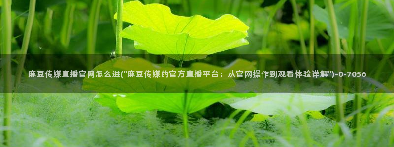 麻豆传媒官网是什么：麻豆传媒直播官网怎么进(\