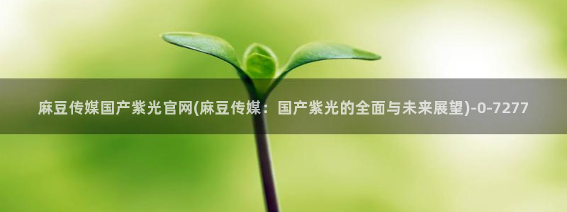 麻豆印映传媒官网：麻豆传媒国产紫光官网(麻豆传媒：国产紫光的全面与未来展望)