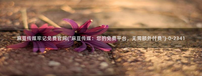 麻豆猫爪传媒官网：麻豆传媒牢记免费官网(\