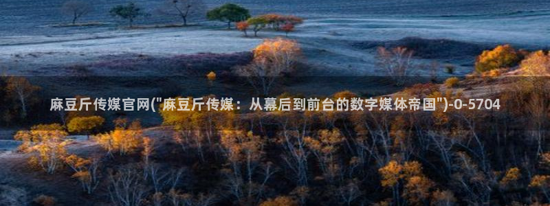 麻豆传媒官网app入口：麻豆斤传媒官网(\