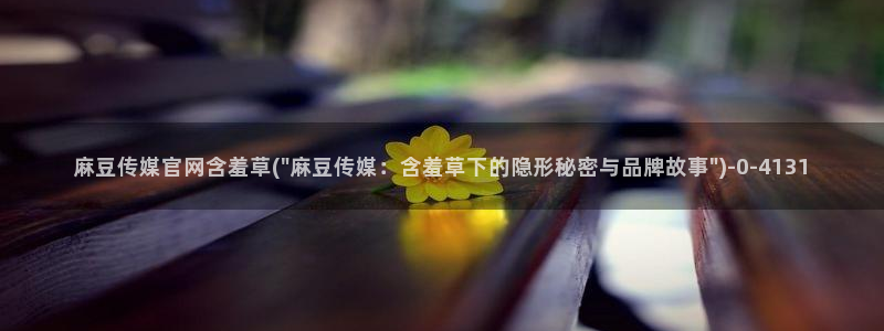 麻豆传媒印画官网：麻豆传媒官网含羞草(\