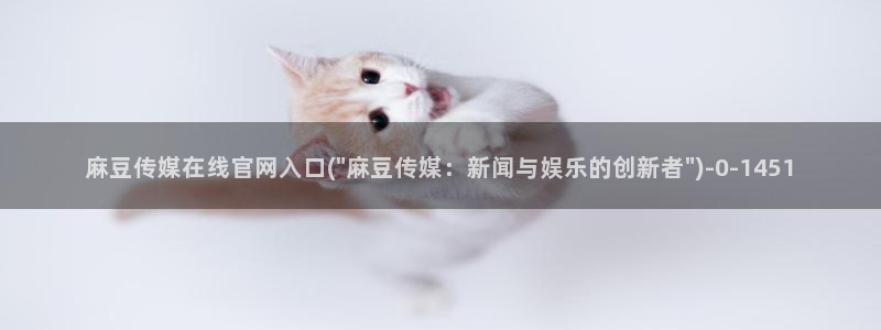 麻豆传媒视频在线官网：麻豆传媒在线官网入口(\