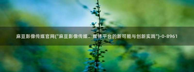 麻豆传媒官网app污：麻豆影像传媒官网(\