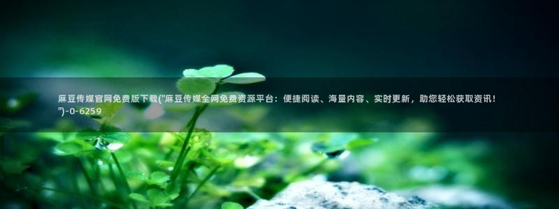 麻豆视传媒短网站官网：麻豆传媒官网免费版下载(\