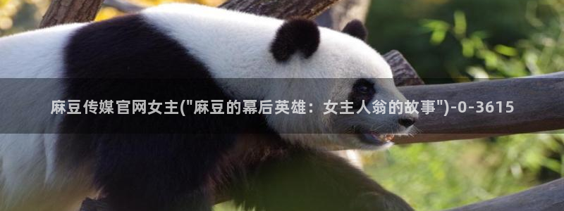 麻豆传媒官网社区：麻豆传媒官网女主(\