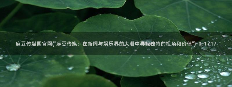 麻豆影视文化传媒官网黄：麻豆传媒国官网(\
