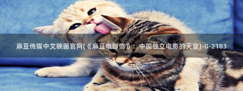 md麻豆传媒官网：麻豆传媒中文映画官网(《麻豆电影馆》：中国独立电影的天堂)