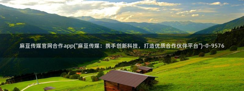 麻豆经济传媒官网：麻豆传媒官网合作app(\