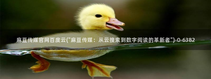 台湾麻豆传媒官网app