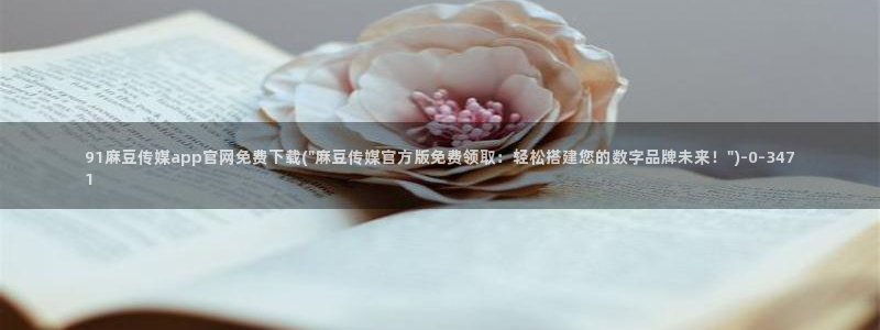 麻豆传媒媒体官网