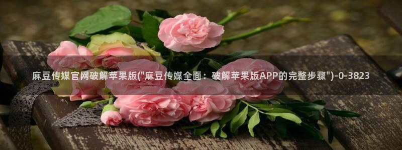 麻豆床传媒官网应聘