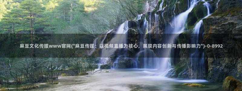 麻豆星空传媒官网